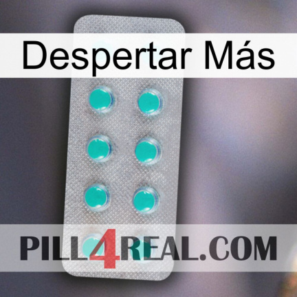 Despertar Más 28